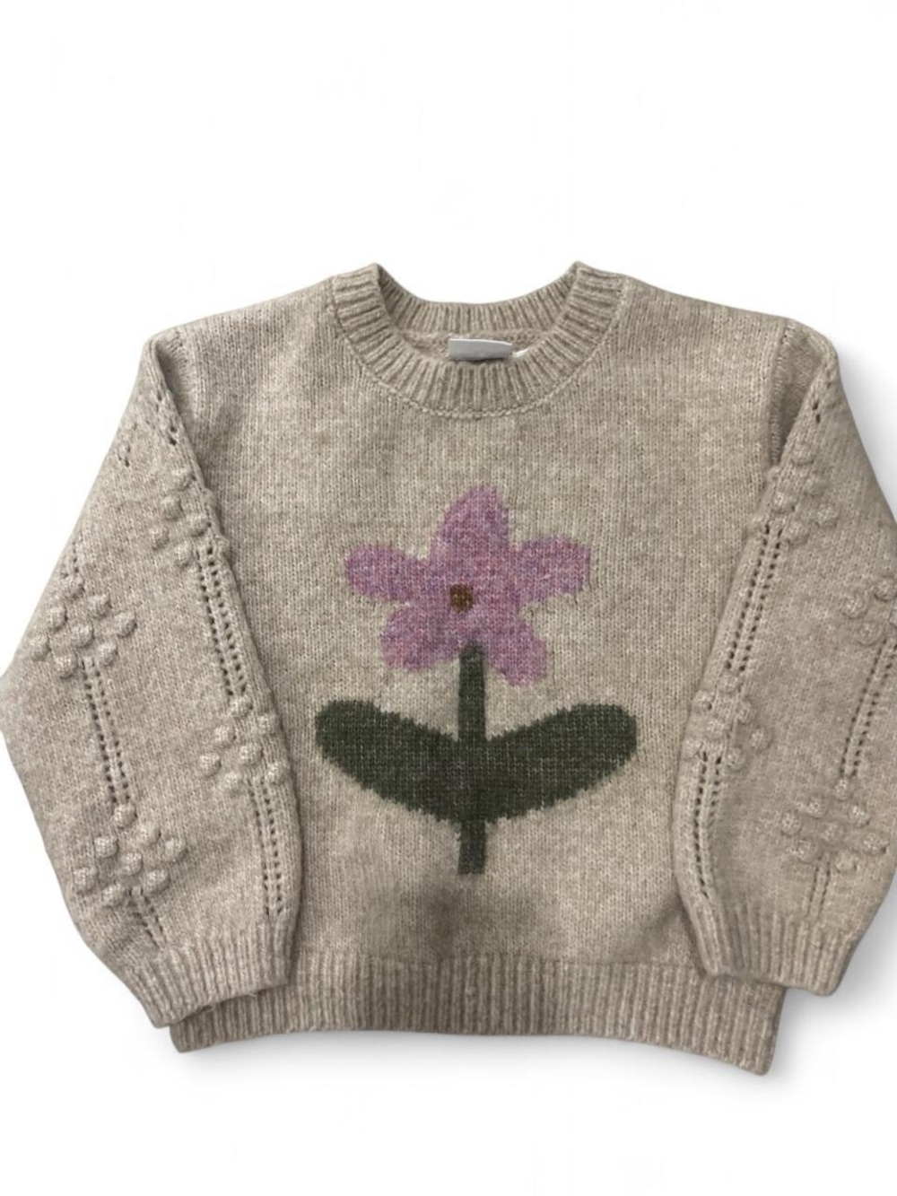 Zara Beige Crewneck Sweater with Purple Flower Motif NWOT size 5